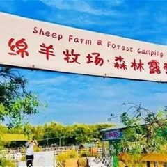 绵羊牧场森林露营