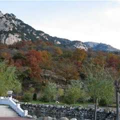 大杨山国家森林公园