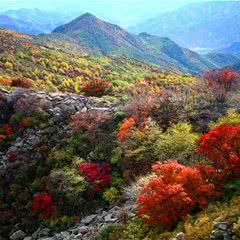 喇叭沟门原始森林公园