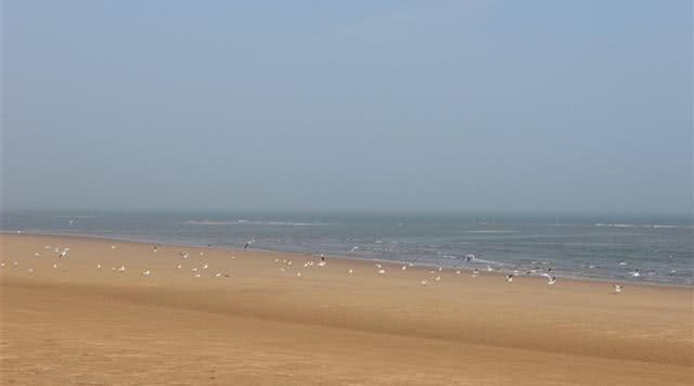 万宝赶海园