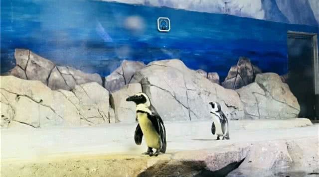 临沂极地海洋世界