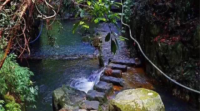 安溪桫椤谷风景区
