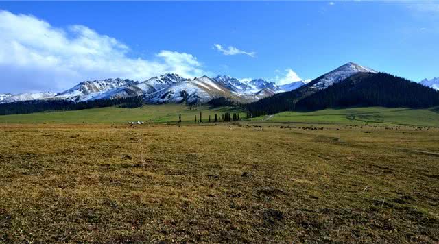 那拉提旅游风景区