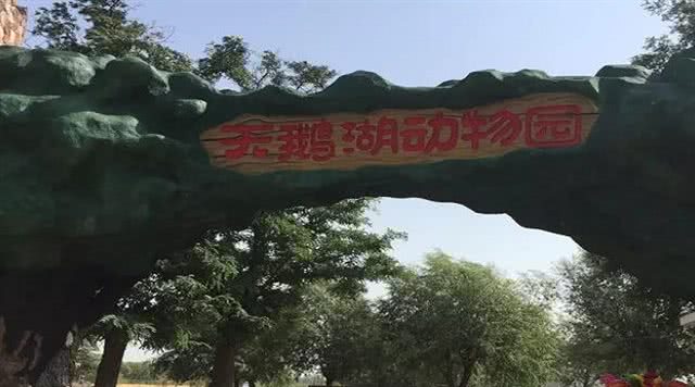天鹅湖动物园