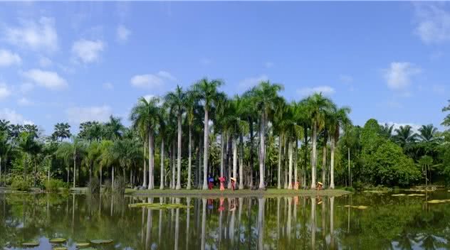 中科院西双版纳热带植物园