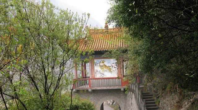 灵岩松舞