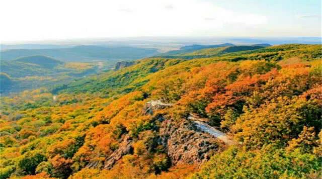 壹台山骆驼峰景区