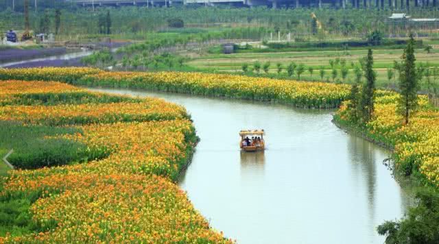华阳湖湿地公园