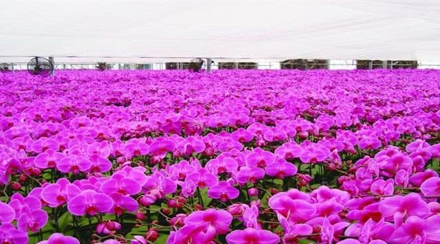 芜湖大浦乡村世界