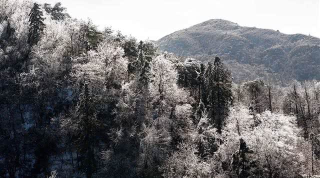 大围山国家森林公园
