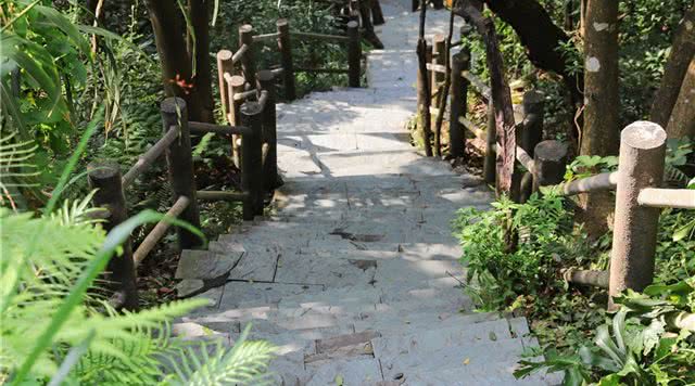 广东观音山国家森林公园
