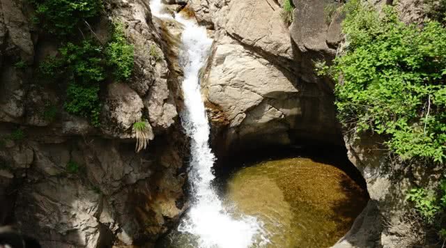 玉龙溪原始森林公园
